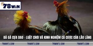 Đá Gà Cựa Dao - Luật Chơi Và Kinh Nghiệm Cá Cược Của Lão Làng