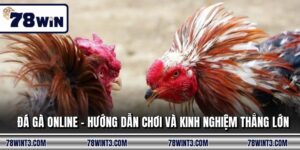 Đá Gà Online - Hướng Dẫn Chơi Và Kinh Nghiệm Thắng Lớn
