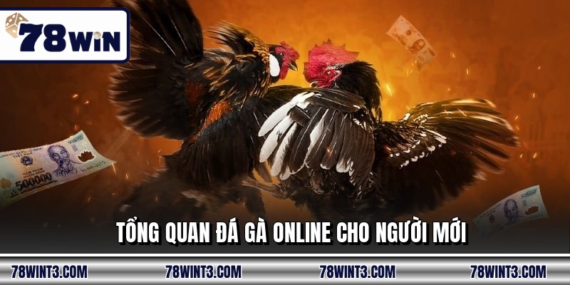 Tổng quan đá gà online cho người mới