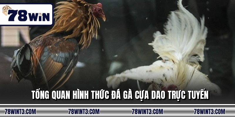 Tổng quan hình thức đá gà cựa dao trực tuyến